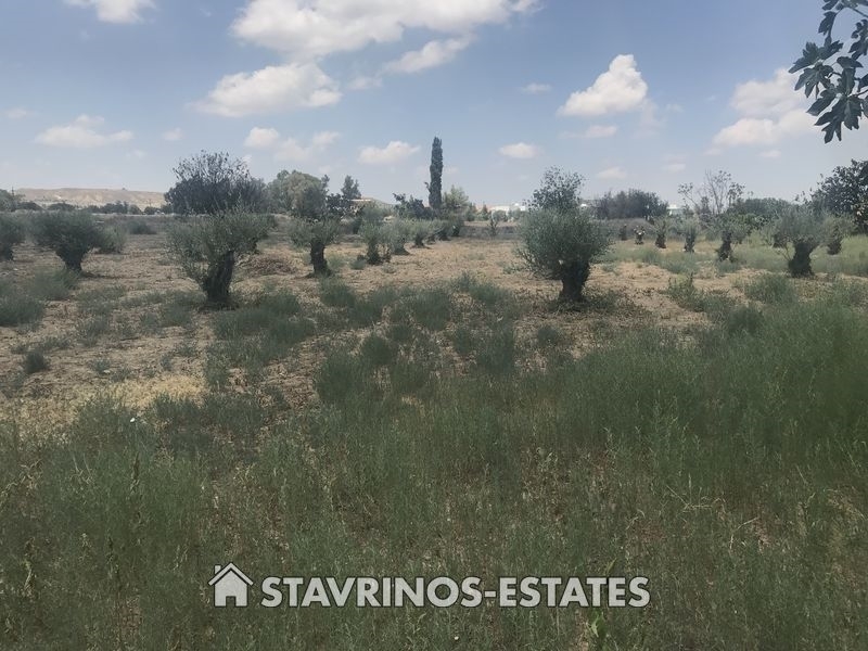 (For Sale) Land Agricultural Land  || Nicosia/Politiko - 3.679 Sq.m, 85.000€ 