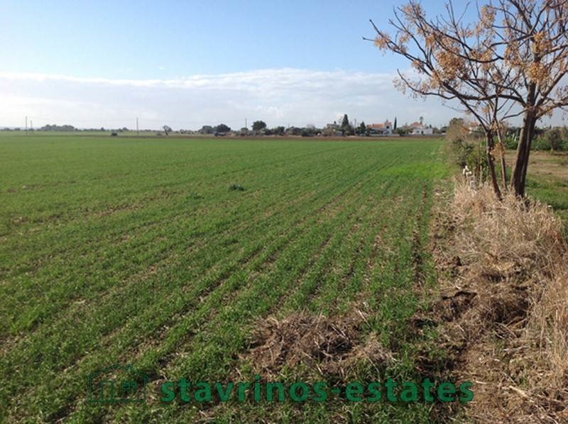 (For Sale) Land Agricultural Land  || Larnaka/Softades - 6.617 Sq.m, 320.000€ 