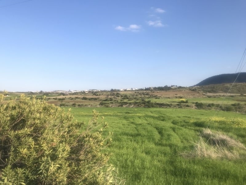 (For Sale) Land Agricultural Land  || Nicosia/Kalo Chorio Oreinis - 1.700 Sq.m, 18.000€ 