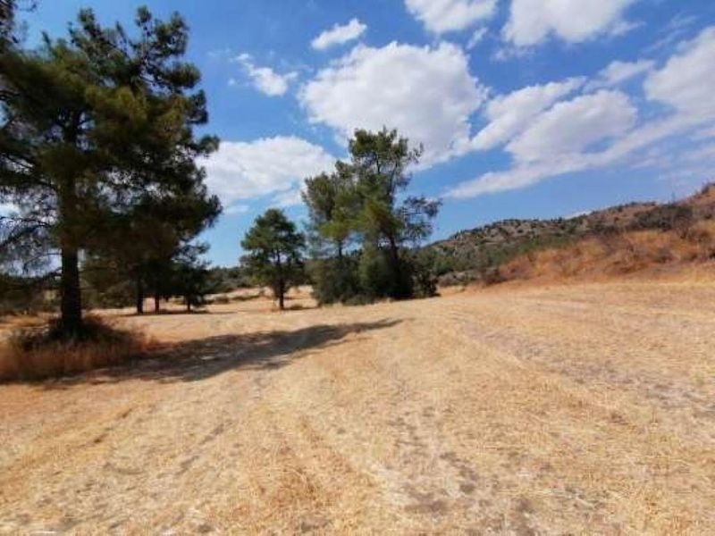 (用于出售) 建设用地 地块 || Larnaca/Kornos - 4.014 平方米, 10.500€ 
