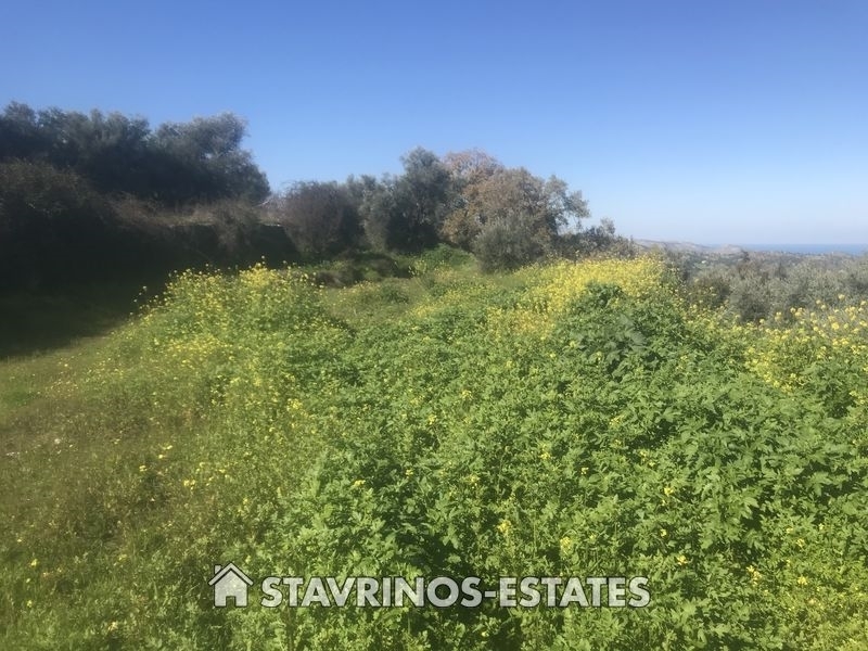 (For Sale) Land Residential || Nicosia/Evrichou - 516 Sq.m, 60.000€ 