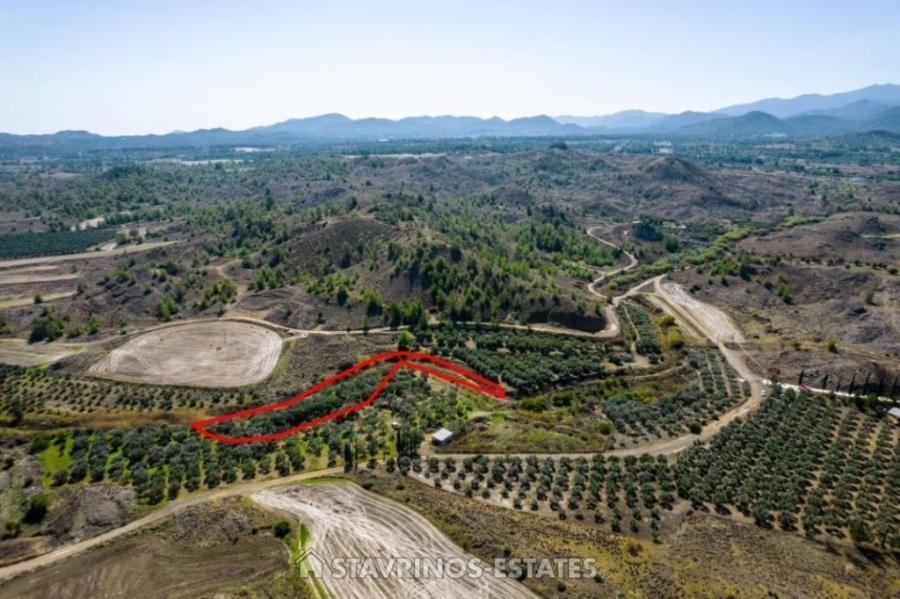 (For Sale) Land Agricultural Land  || Nicosia/Kataliontas - 3.345 Sq.m, 20.000€ 