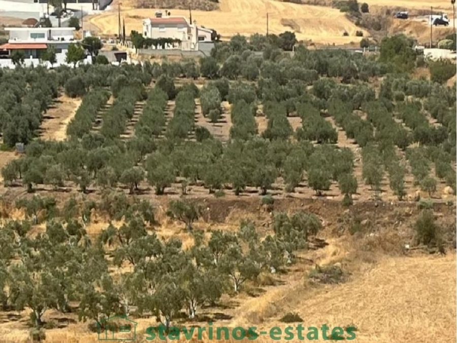 (用于出售) 建设用地 房产 || Nicosia/ - 5.426 平方米, 86.000€ 
