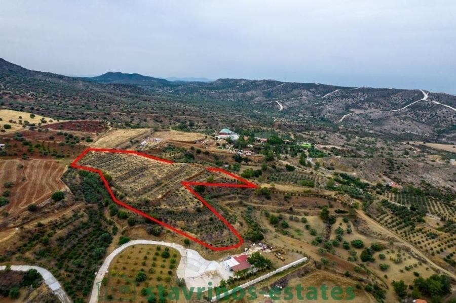 (For Sale) Land Agricultural Land  || Larnaca/Anglisides - 12.710 Sq.m, 112.000€ 