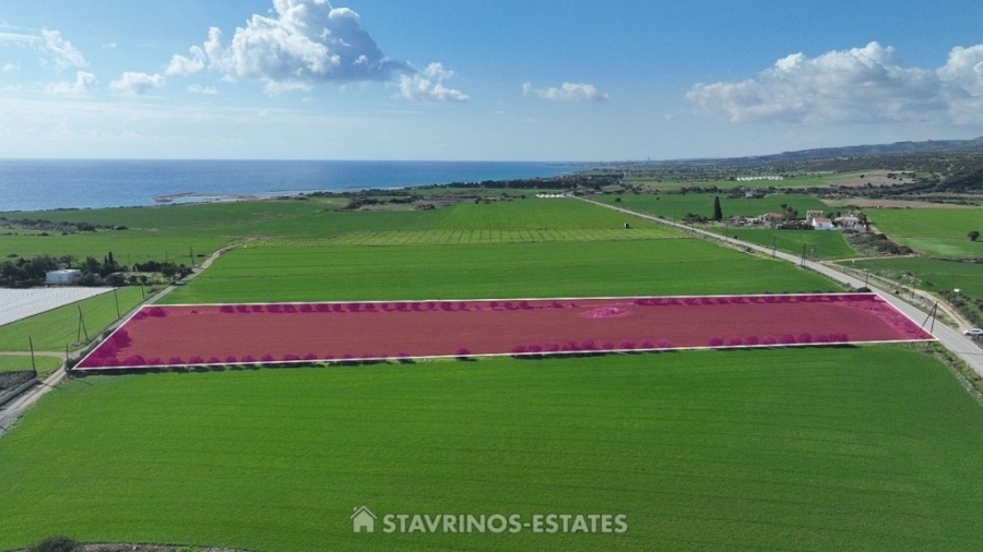 (For Sale) Land Agricultural Land  || Larnaca/Mazotos - 12.246 Sq.m, 245.000€ 