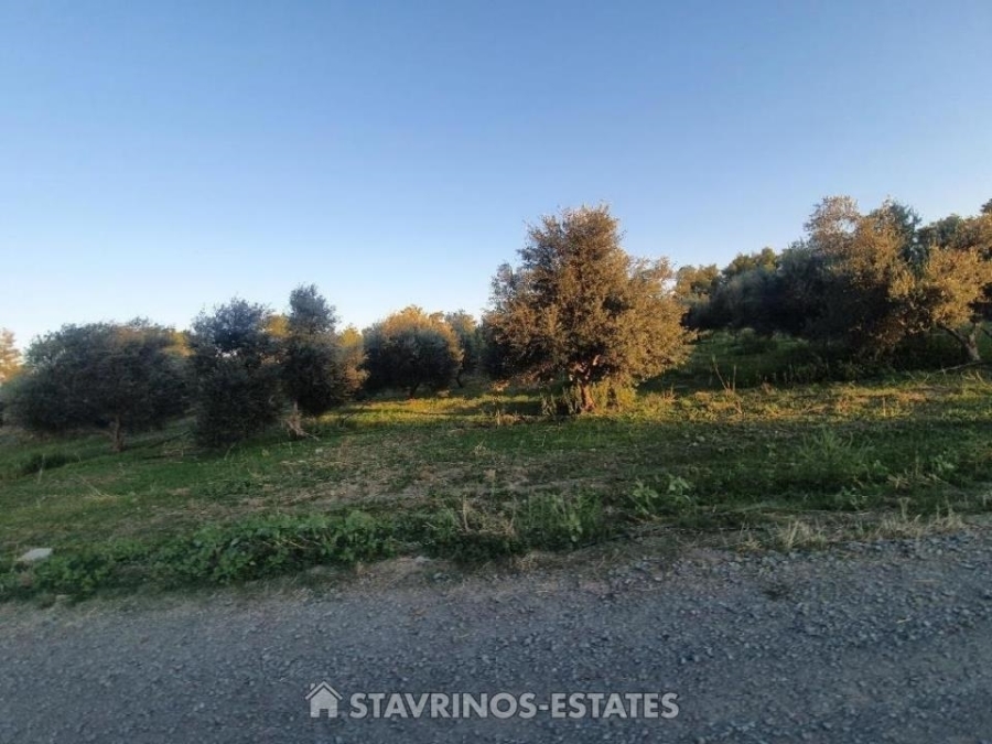 (For Sale) Land Agricultural Land  || Nicosia/Lythrodontas - 10.034 Sq.m, 100.000€ 