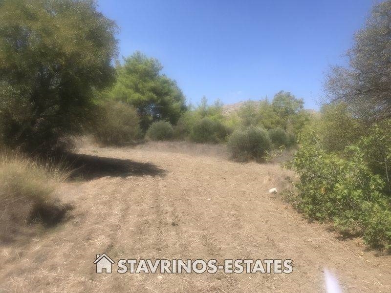 (Προς Πώληση) Αξιοποιήσιμη Γη Κτήμα || Λευκωσία/Σιά - 744 τ.μ, 26.000€ 