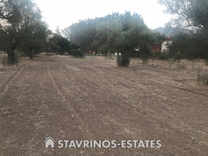 (For Sale) Land Residential || Larnaka/Kornos - 4.014 Sq.m, 180.000€ 