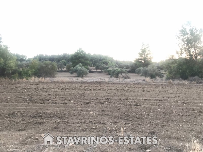(用于出售) 建设用地 房产 || Larnaca/Kornos - 3.000 平方米, 240.000€ 