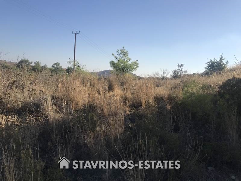 (For Sale) Land Agricultural Land  || Nicosia/Sia - 5.352 Sq.m, 99.000€ 