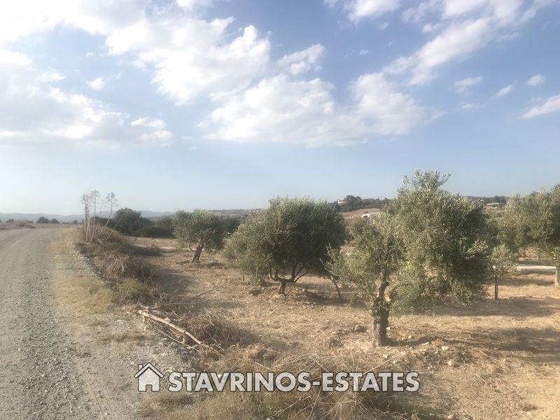 (For Sale) Land Agricultural Land  || Larnaka/Tochni - 8.696 Sq.m, 390.000€ 