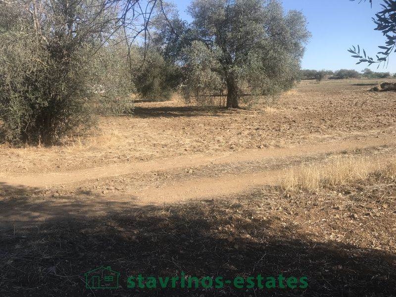 (For Sale) Land Residential || Larnaka/Mosfiloti - 1.673 Sq.m, 100.000€ 