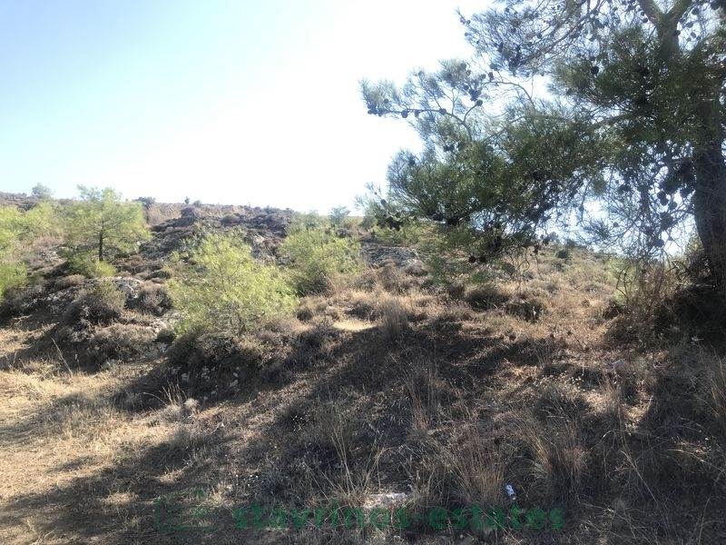 (For Sale) Land Agricultural Land  || Nicosia/Sia - 10.703 Sq.m, 175.000€ 