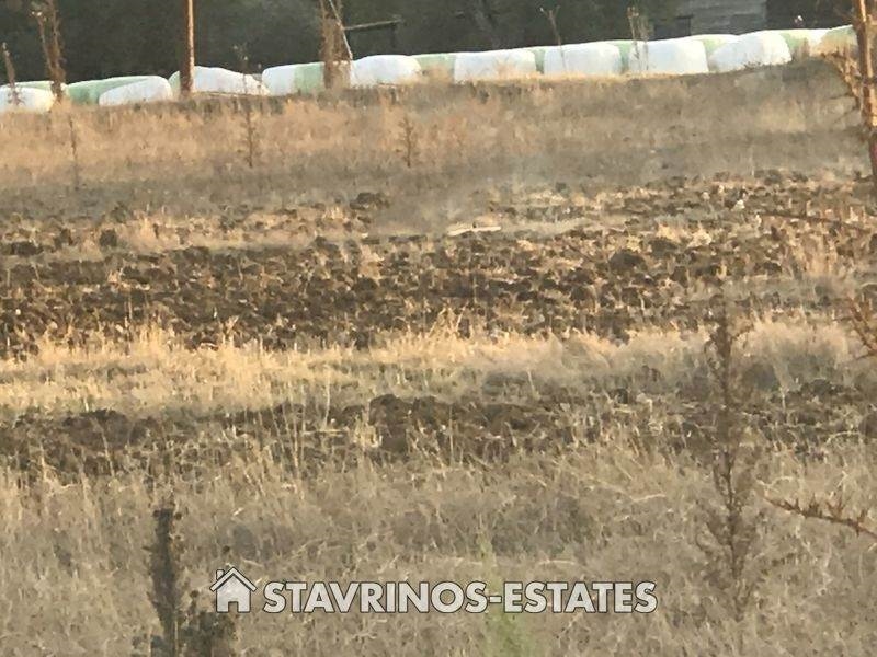 (Προς Πώληση) Αξιοποιήσιμη Γη Οικόπεδο || Λάρνακα/Πυργά - 968 τ.μ, 95.000€ 
