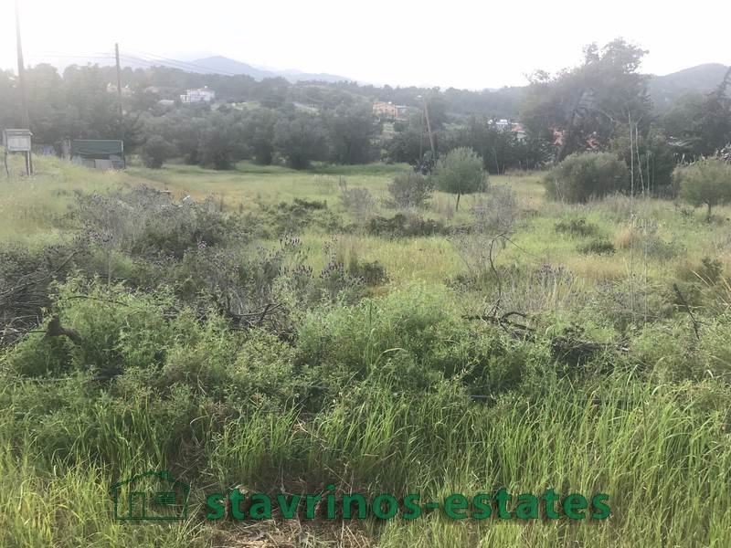 (For Sale) Land Residential || Larnaka/Kornos - 9.776 Sq.m, 300.000€ 