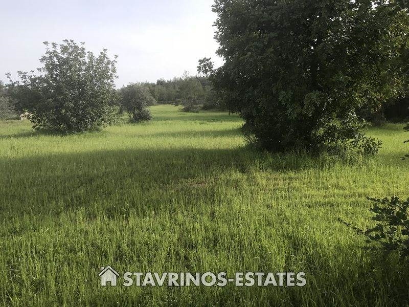 (For Sale) Land Agricultural Land  || Larnaka/Kornos - 10.701 Sq.m, 200.000€ 