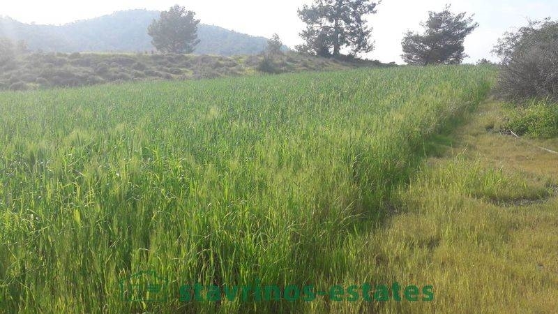 (For Sale) Land Agricultural Land  || Nicosia/Sia - 13.713 Sq.m, 250.000€ 