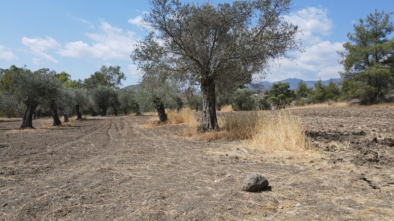 (Προς Πώληση) Αξιοποιήσιμη Γη Αγροτεμάχιο || Λευκωσία/Λυθροδόντας - 3.345 τ.μ, 55.000€ 
