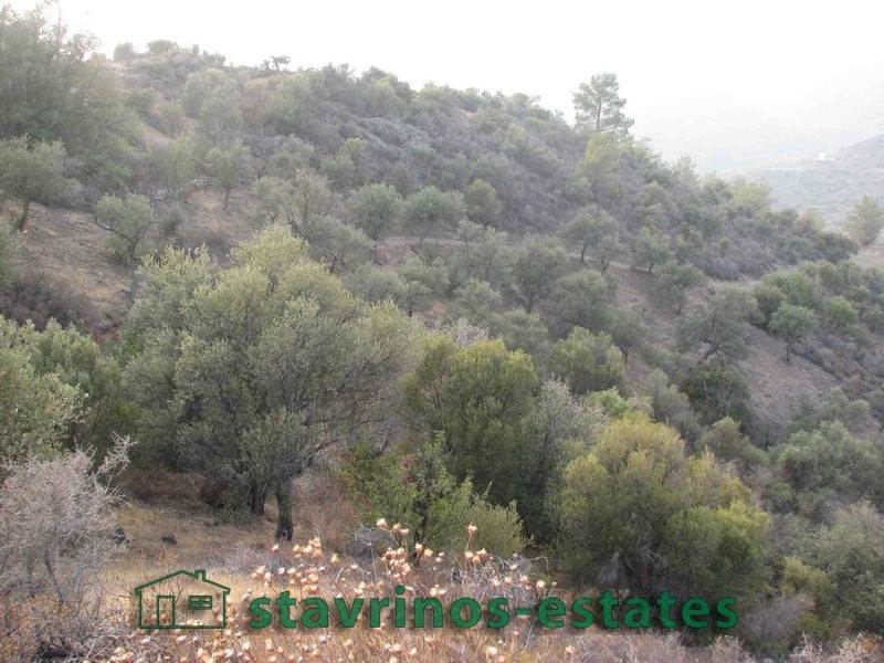 (For Sale) Land Agricultural Land  || Larnaka/Lageia - 18.789 Sq.m, 95.000€ 