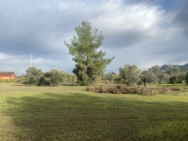 (用于出售) 建设用地 房产 || Larnaca/Kornos - 4.181 平方米, 130.000€ 