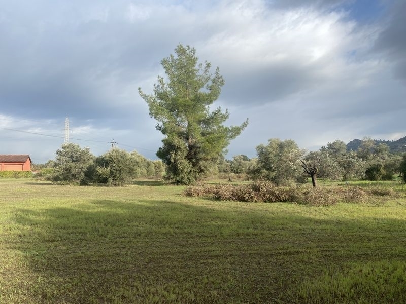 (For Sale) Land Residential || Larnaca/Kornos - 4.181 Sq.m, 130.000€ 