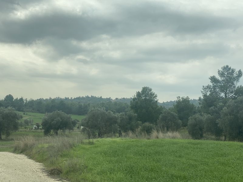 (For Sale) Land Agricultural Land  || Nicosia/Sia - 6.355 Sq.m, 75.000€ 
