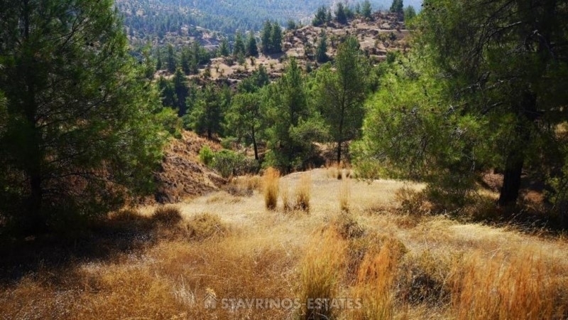 (For Sale) Land Residential || Nicosia/Agios Theodoros Soleas - 11.037 Sq.m, 106.000€ 