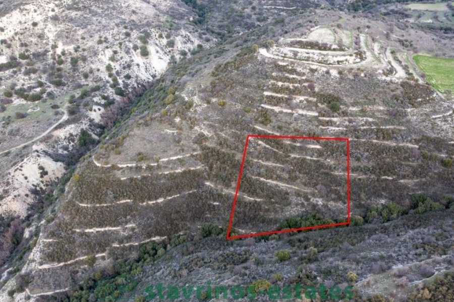 (For Sale) Land Residential || Limassol/Dora - 2.342 Sq.m, 3.600€ 