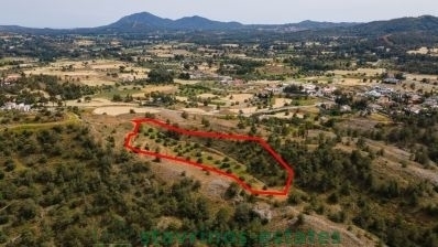 (用于出售) 建设用地 房产 || Nicosia/Sia - 11.706 平方米, 225.000€ 