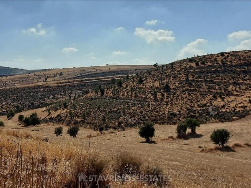 (For Sale) Land Agricultural Land  || Nicosia/Lympia - 13.044 Sq.m, 13.000€ 