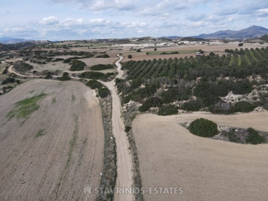 (For Sale) Land Agricultural Land  || Larnaka/Agios Theodoros Skarinou - 24.415 Sq.m, 125.000€ 