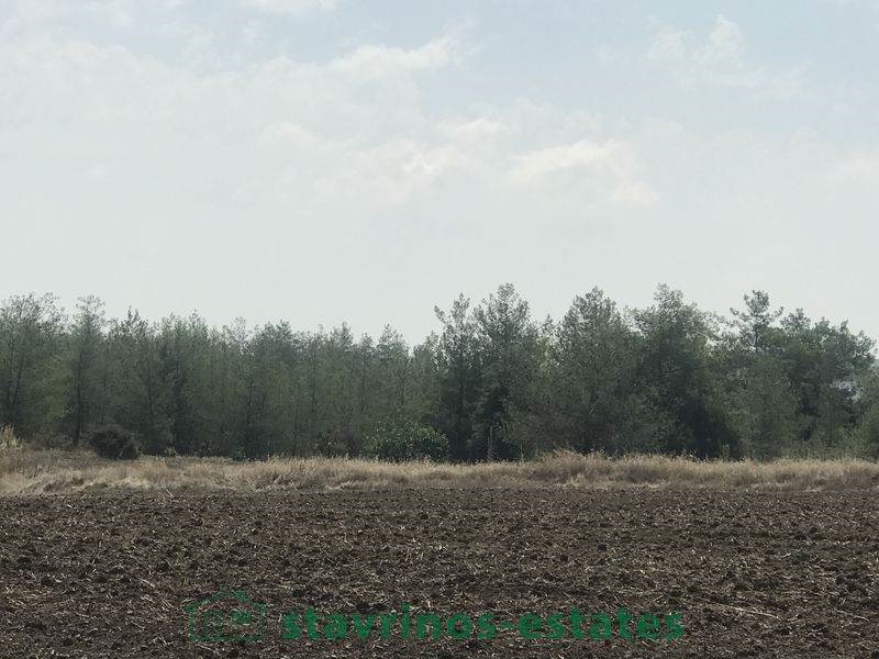 (For Sale) Land Agricultural Land  || Nicosia/Sia - 9.188 Sq.m, 180.000€ 