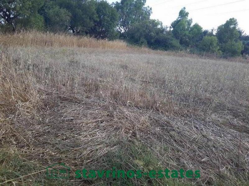 (Προς Πώληση) Αξιοποιήσιμη Γη Αγροτεμάχιο || Λάρνακα/Κόρνος - 18.730 τ.μ, 800.000€ 