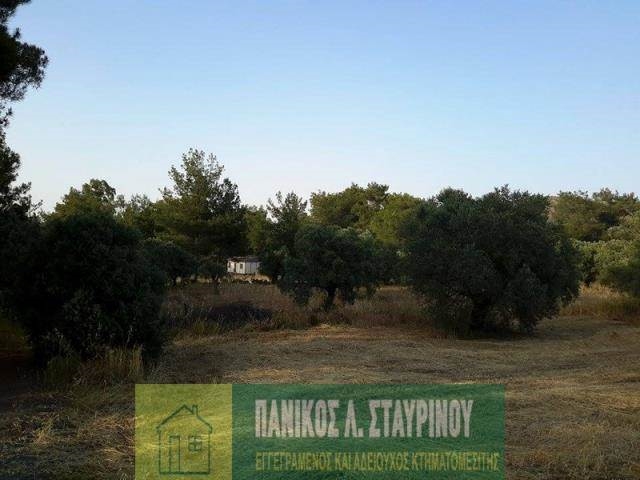 (For Sale) Land Agricultural Land  || Larnaka/Kornos - 5.017 Sq.m, 180.000€ 