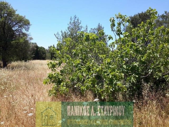 (For Sale) Land Agricultural Land  || Larnaka/Kornos - 8.027 Sq.m, 450.000€ 
