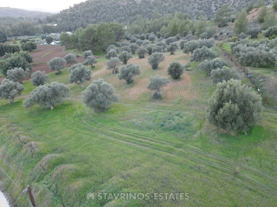 (用于出售) 建设用地 地块 || Larnaka/Psevdas - 562 平方米, 59.000€ 