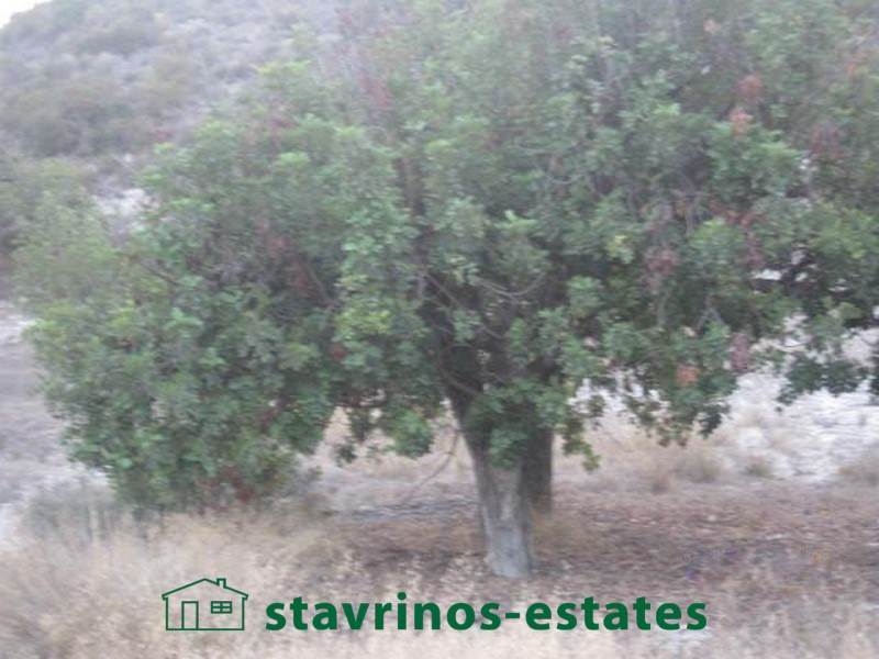 (For Sale) Land Residential || Larnaka/Skarinou - 20.402 Sq.m, 457.512€ 