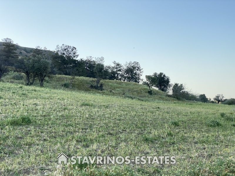 (For Sale) Land Agricultural Land  || Larnaka/Mosfiloti - 9.030 Sq.m, 80.000€ 