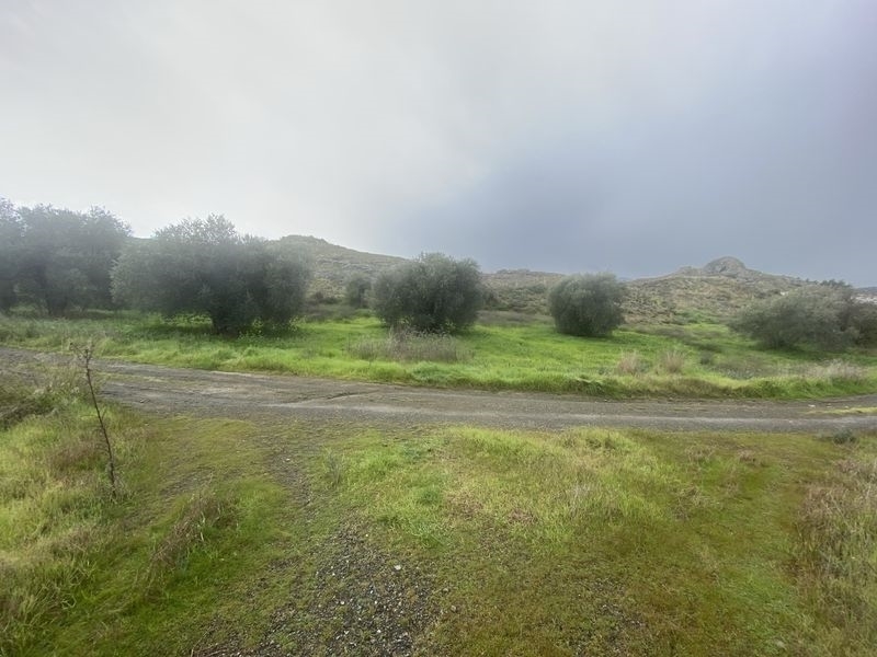 (Προς Πώληση) Αξιοποιήσιμη Γη Κτήμα || Λάρνακα/Κόρνος - 5.909 τ.μ, 285.000€ 