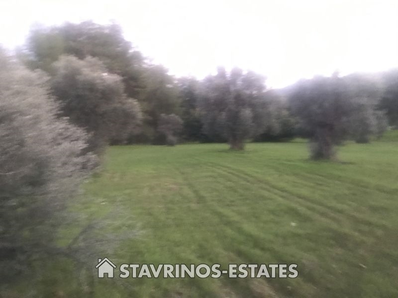 (Προς Πώληση) Αξιοποιήσιμη Γη Κτήμα || Λάρνακα/Μοσφιλωτή - 3.679 τ.μ, 130.000€ 