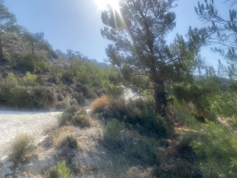 (Προς Πώληση) Αξιοποιήσιμη Γη Αγροτεμάχιο || Λάρνακα/Χοιροκοιτία - 111.709 τ.μ, 350.000€ 
