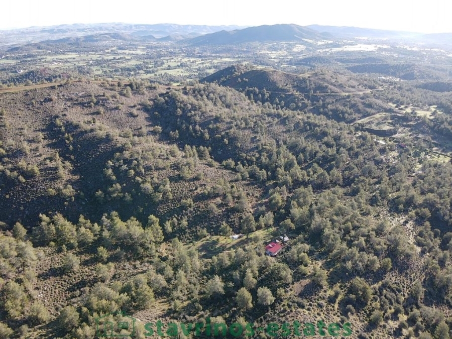 (For Sale) Land Agricultural Land  || Larnaka/Kornos - 5.017 Sq.m, 30.000€ 