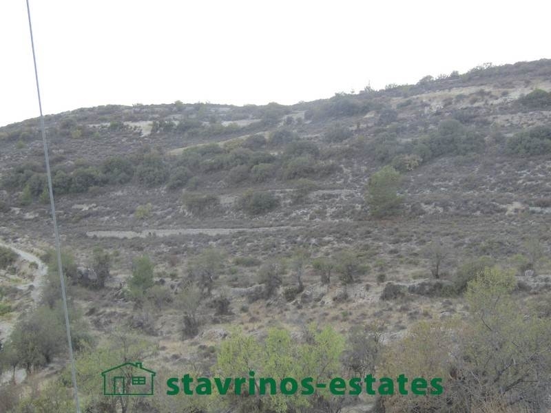 (For Sale) Land Agricultural Land  || Limassol/Silikou - 6.355 Sq.m, 35.000€ 