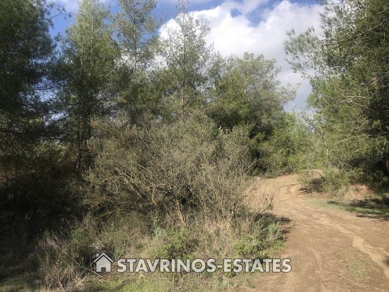 (For Sale) Land Agricultural Land  || Larnaka/Kornos - 11.676 Sq.m, 350.000€ 