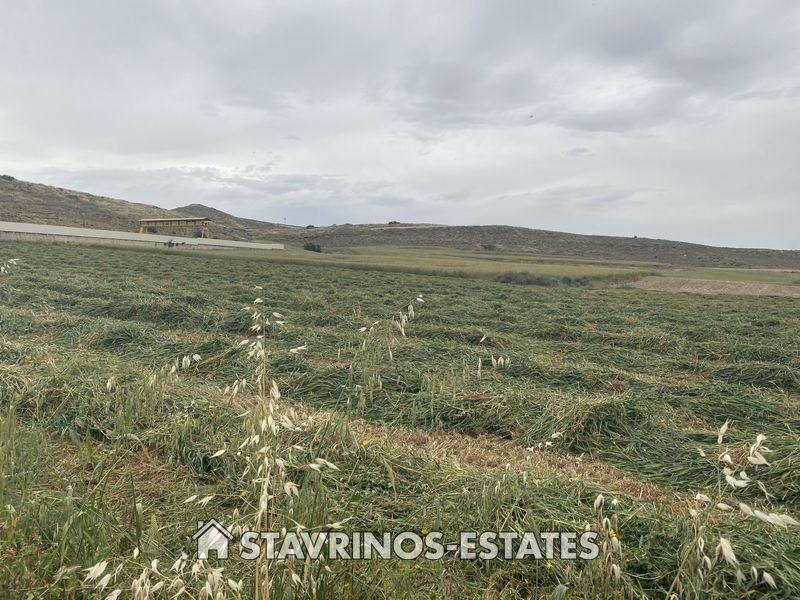 (Προς Πώληση) Αξιοποιήσιμη Γη Βιομηχανικό Οικόπεδο || Λευκωσία/Δάλι (Ιδάλιον) - 12.719 τ.μ, 900.000€ 