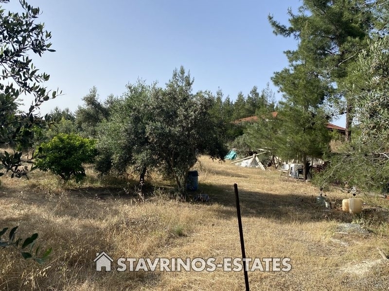(For Sale) Land Agricultural Land  || Larnaca/Mosfiloti - 1.555 Sq.m, 130.000€ 