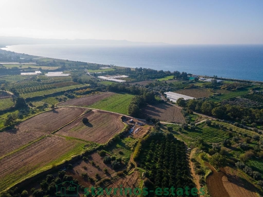 (Προς Πώληση) Αξιοποιήσιμη Γη Κτήμα || Πάφος/Γιαλιά Κάτω - 2.676 τ.μ, 115.000€ 