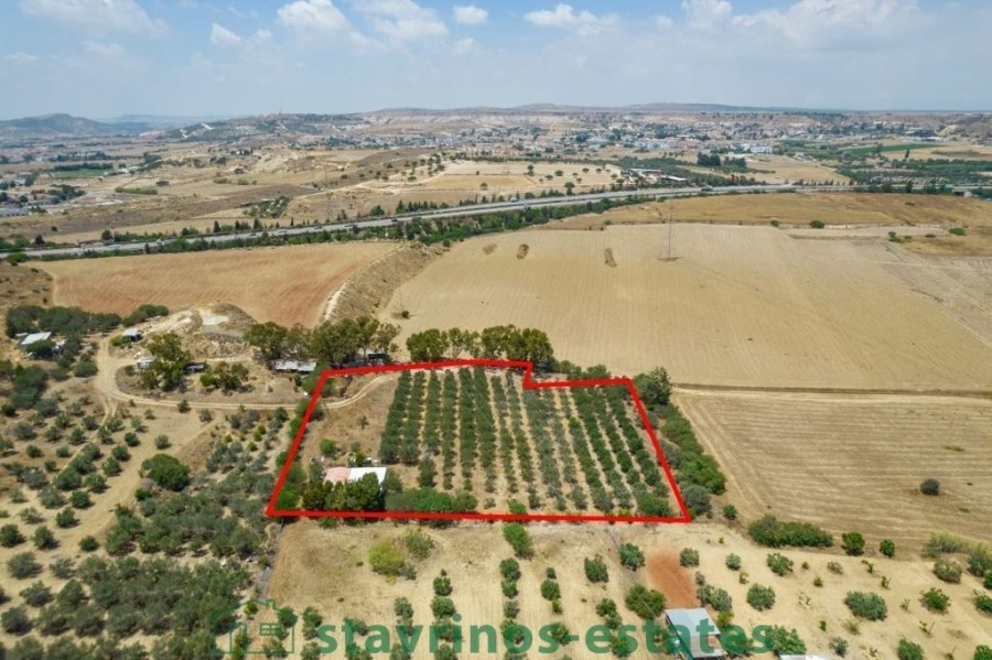 (For Sale) Land Agricultural Land  || Larnaka/Pyla - 6.690 Sq.m, 75.000€ 