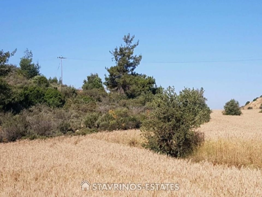 (For Sale) Land Agricultural Land  || Larnaca/Anafotida - 10.520 Sq.m, 60.000€ 