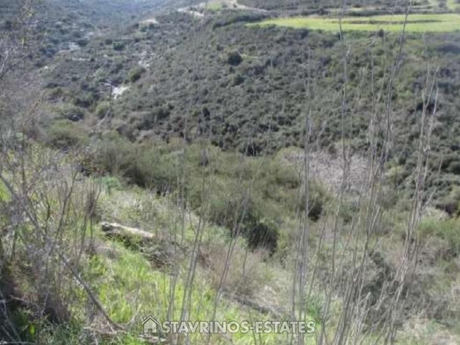 (For Sale) Land Agricultural Land  || Pafos/Akourdaleia Pano - 10.368 Sq.m, 41.000€ 